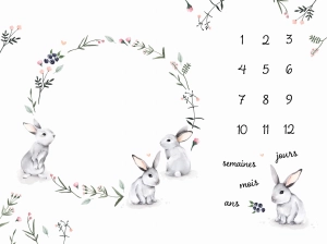 Couverture étape "Króliki na łące / Meadow Bunnies"  FR