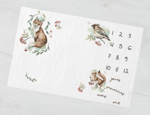 Couverture étape "Foxes and squirrels" FR