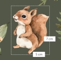 Bawełna Forest Squirrel and Mouse
