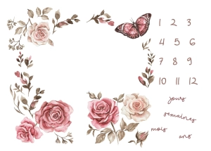 Couverture étape "Roses butterflies" FR