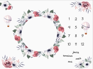 Couverture étape "Balloons and flowers" FR