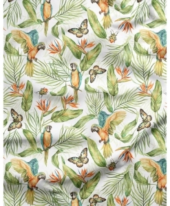 Jersey Papugi / Parrots