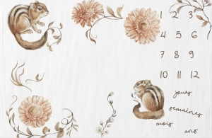 Couverture étape "Squirrels in flowers"  FR
