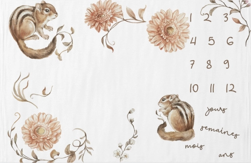 Couverture étape " Squirrels in flowers" FR