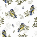 Bawełna Sikorki / Titmouse