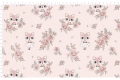 Fairy Fox