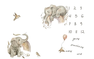 Couverture étape "Little elephants" FR