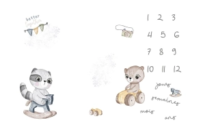 Couverture étape "Teddy bears and raccoons" FR