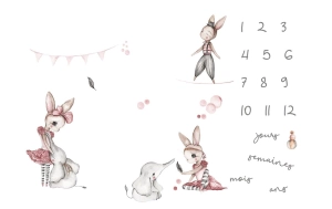 Couverture étape "Rabbit and elephant" FR 