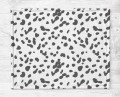 Drukowane Minky Gładkie Polar 380g Dalmatyńczyk Cętki 2, pluszowa gładka dzianina poliestrowa, Printed Smooth Minky, Spotted Dalmatian 2