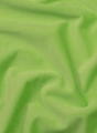 minky-velvet-jasmine-green (1).jpg