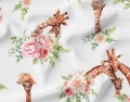 Słodkie Żyrafy / Cute Giraffes